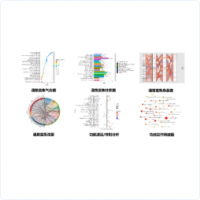 靶向代謝組學(xué)分析