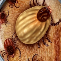 驅(qū)（滅）害蟲檢測